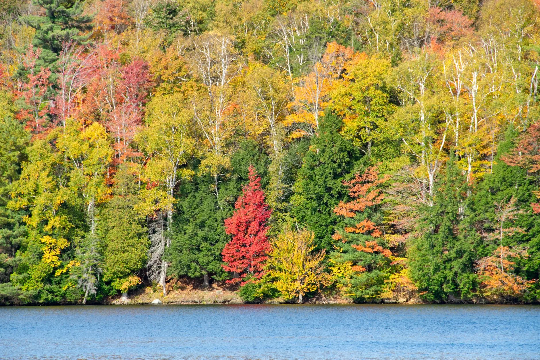 L'automne : l'été indien, la meilleure saison