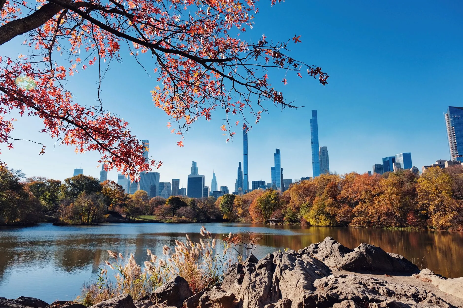Feuillage d'automne dans un parc de l'Est américain